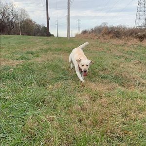 Meet your Posher, Nicholas